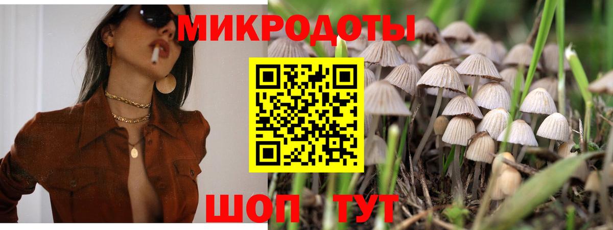 Вязьма  Галлюциногенные грибы мицелий  Вход с VPN 